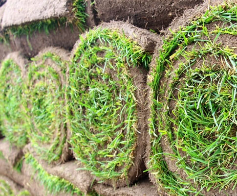 Technikthema Rasenpflege?